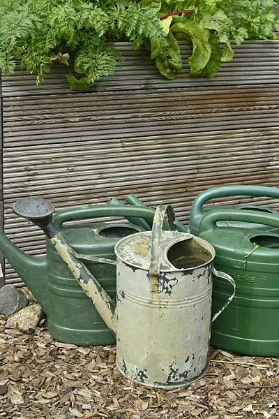 558005 - Watering cans made of sheet metal and plastic in front of a raised bed
