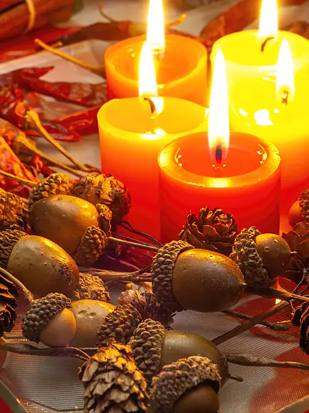 444057 - Weihnachtsdekoration mit Eicheln
