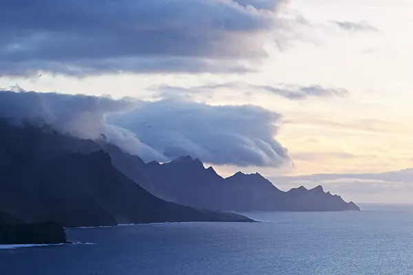 397090 - West coast in the evening, Tamadaba Nature Reserve, Gran Canaria, Spain