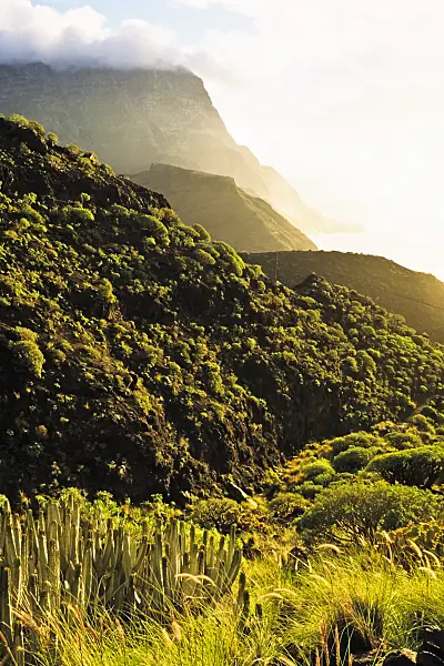 397087 - Westküste im Abendlicht, Naturschutzgebiet Tamadaba, Gran Canaria, Spanien