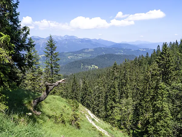 439338 - Wettersteingebirge Nature Reserve, Germany