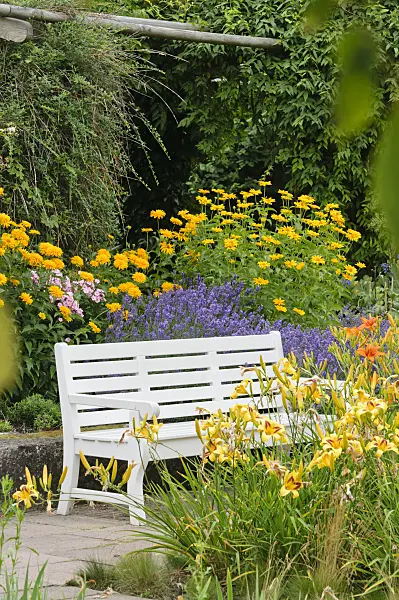 474023 - White bench in a perennial garden