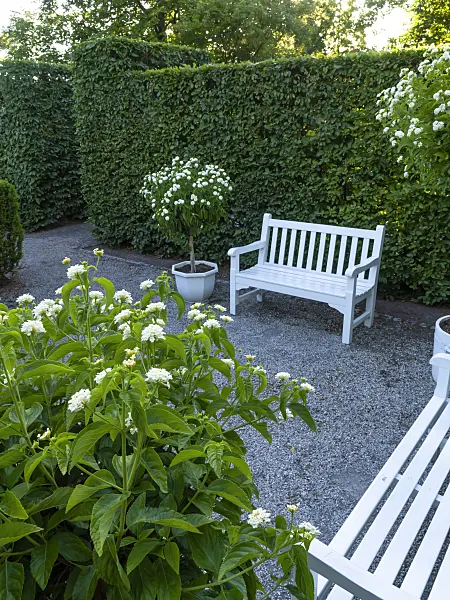 461160 - White garden, Britzer Garten, Berlin, Germany