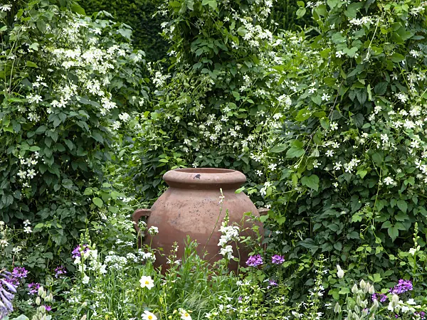 462161 - White garden with clay vase