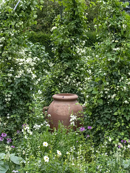 462162 - White garden with clay vase