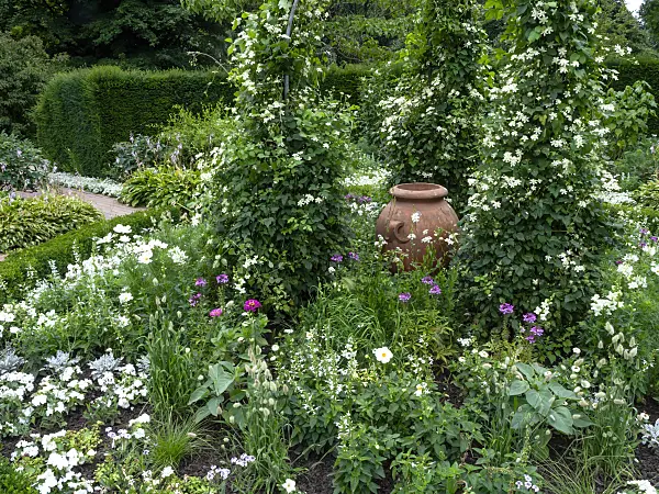 462163 - White garden with clay vase