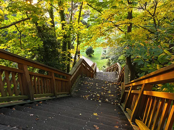 465303 - Wide steep wooden staircase with wooden railing under autumnal trees, Römischer Garten, Hamburg, Germany