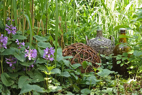 500200 - Willow ball, glass balloon and old bottle as garden decoration