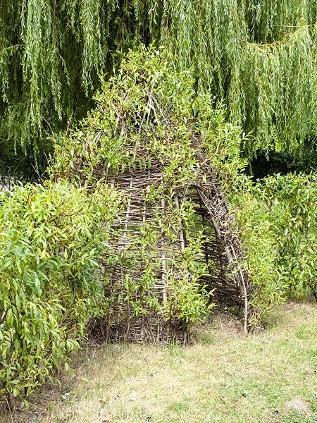 463045 - Willow tent