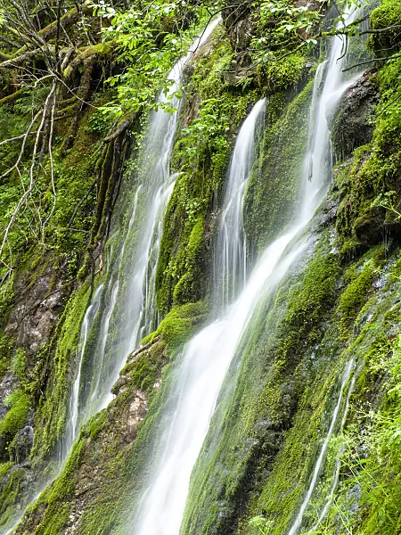 439165 - Wimbach Gorge, Berchtesgaden National Park, Germany