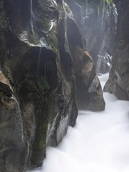 439167 - Wimbach Gorge, Berchtesgaden National Park, Germany