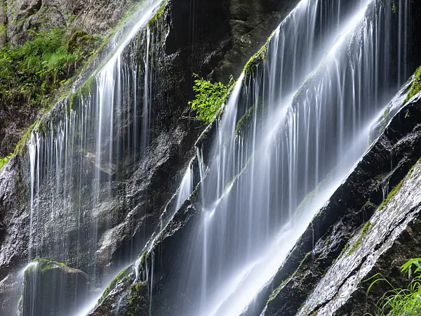 439169 - Wimbach Gorge, Berchtesgaden National Park, Germany