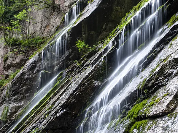 439170 - Wimbach Gorge, Berchtesgaden National Park, Germany