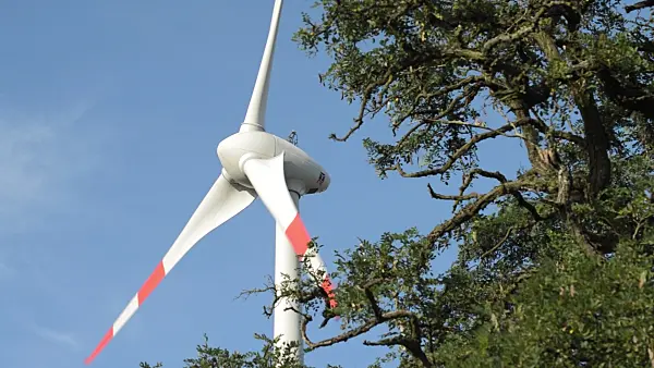 510136 - Wind turbines and black locust (Robinia pseudoacacia), Germany