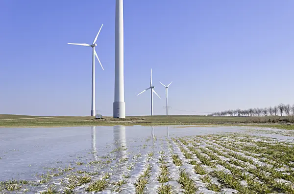 578005 - Wind turbines on a field with winter cereals covered by ice