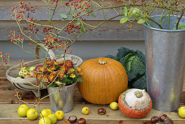460017 - Winter squash (Cucurbita maxima), Japanese quince (Chaenomeles japonica), common horse chestnut (Aesculus hippocastanum), chrysanthemum (Chrysanthemum) and multiflora rose (Rosa multiflora)