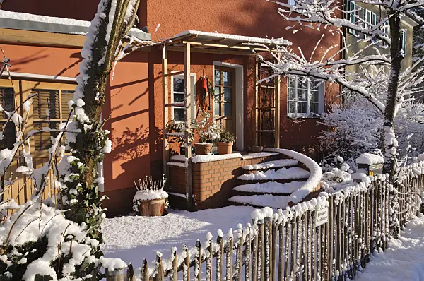 468006 - Wintry front garden