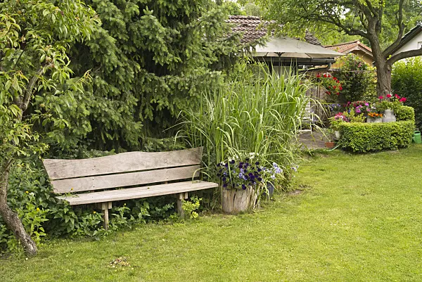 545180 - Wooden bench and garden house in an allotment garden