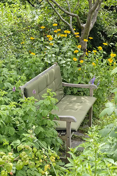 474130 - Wooden bench in a natural garden
