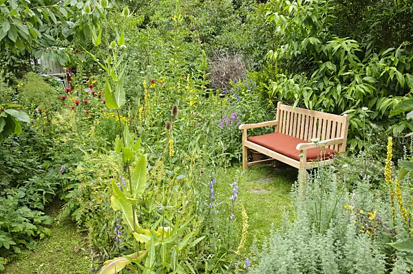 474139 - Wooden bench in a natural garden