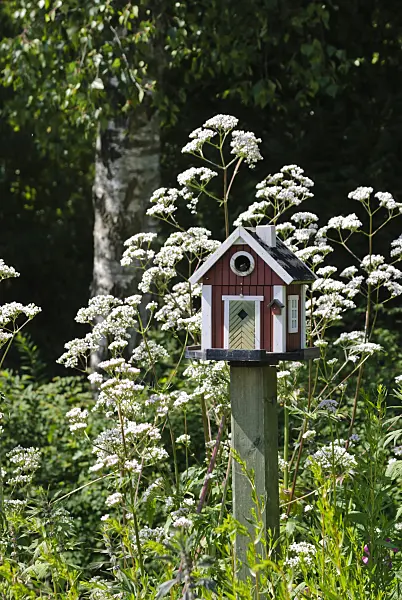 500194 - Wooden bird house