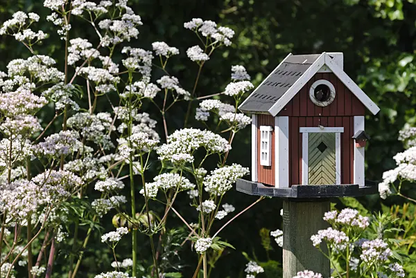 500195 - Wooden bird house