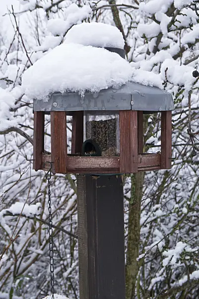 541002 - Wooden bird house