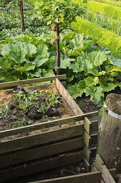 484333 - Wooden compost bin in an allotment garden