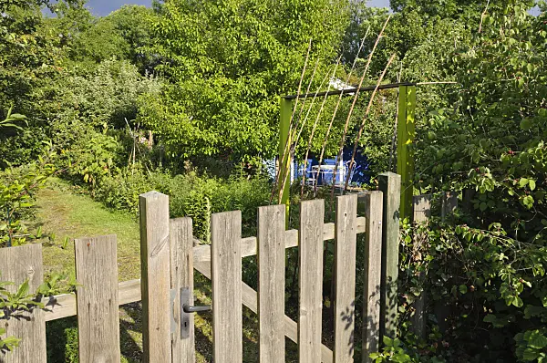 473290 - Wooden gate of a natural garden