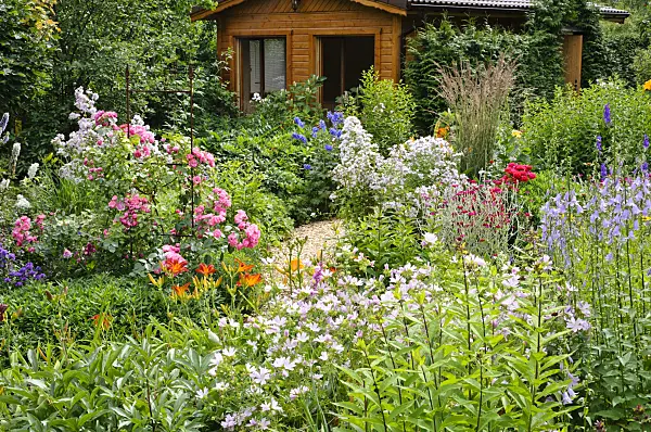 474157 - Wooden house in a rich flowering garden