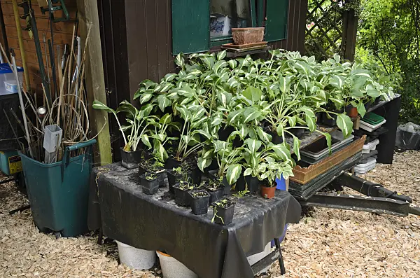 534057 - Workplace in the garden