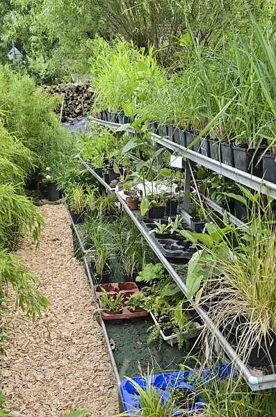 534058 - Workplace in the garden with plants in flower pots