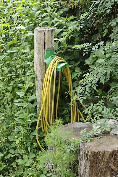 474243 - Yellow water hose at a pole
