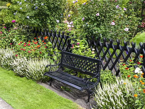 490013 - Zinnias (Zinnia), common heather (Calluna) and rosemallows (Hibiscus) next to a garden bench