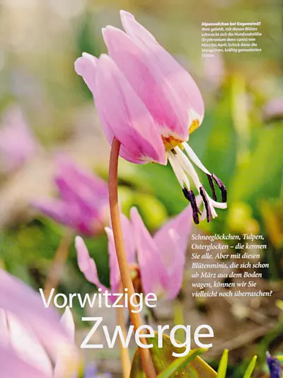 deutscher-bauernverlag-gartenflora