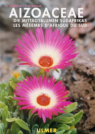ulmer-aizoaceae