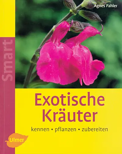 ulmer-exotische-kraeuter