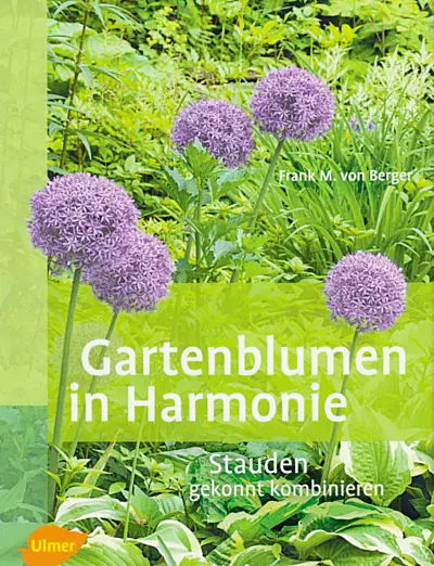 ulmer-gartenblumen-in-harmonie